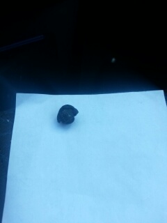 ce a mai ramas din ele