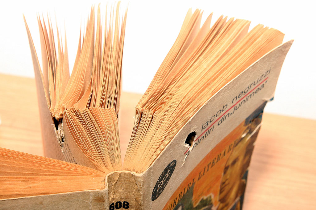 Din coperta la pagina 312