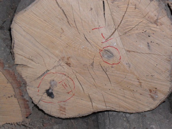 SAM_4090 (600 x 450).jpg