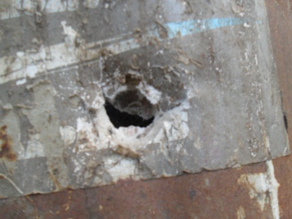 SAM_4093 (600 x 450).jpg